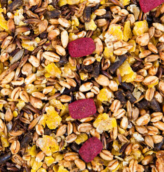 kachelnavi pferdefutter sport